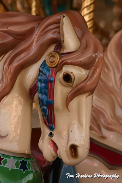 IMG_9971.JPG - Carousel HorseSussex County Fair, NJ