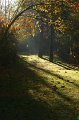 IMG_1822
