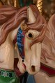IMG_9971