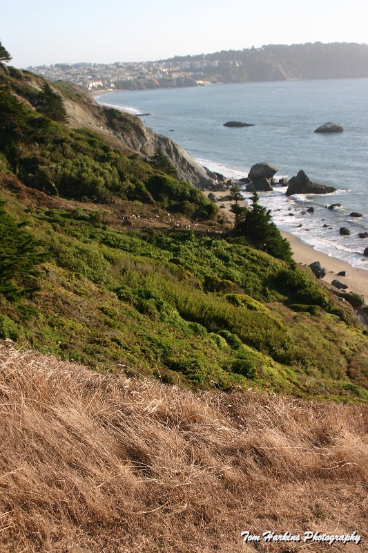 IMG_9419.JPG - Golden Gate Park - San Francisco, CA