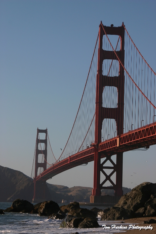 IMG_9508.JPG - Golden Gate Park - San Francisco, CA